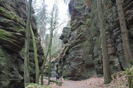 Uttewalder Grund Wanderung zum Uttewalder Felsentor Sächsische Schweiz