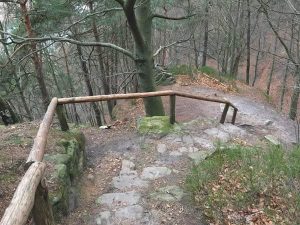 Abstieg am Elbhang nach Wehlen