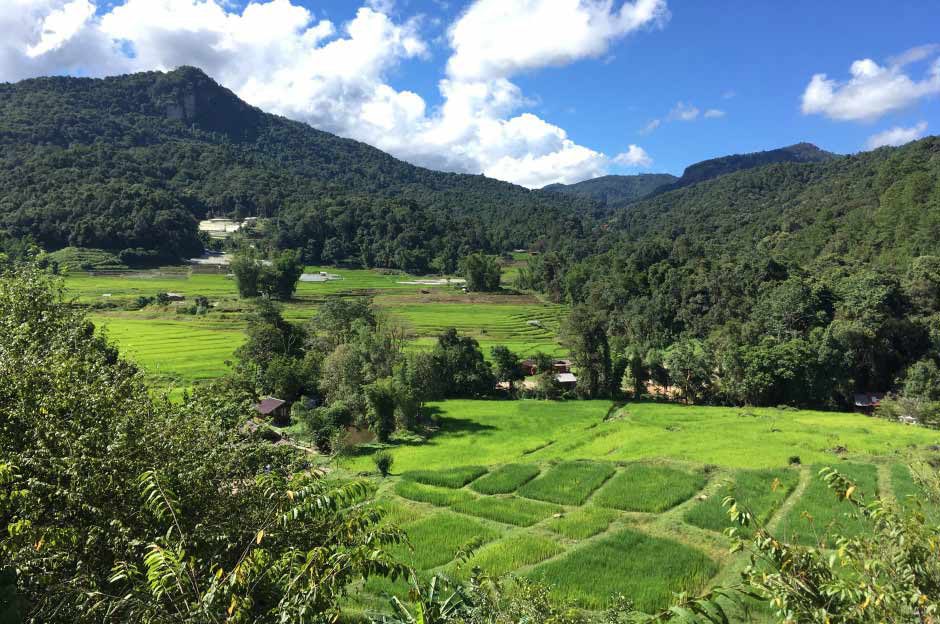 Reisfelder und Doi Inthanon im Nationalpark