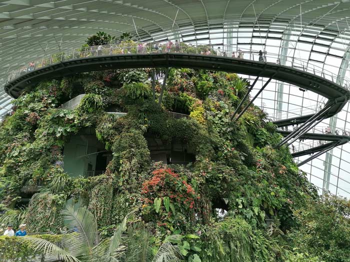 Cloud Forest in Gardens by the Bay