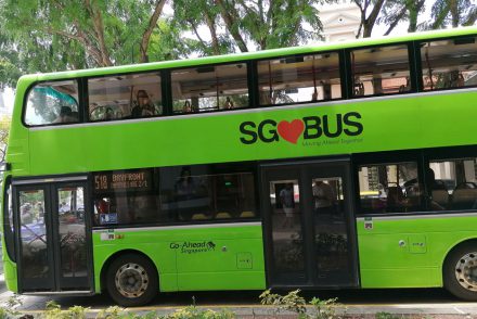 Grüner Singapur Bus