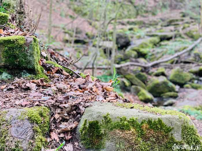 Einstieg in die Somsdorfer Klamm mit vielen Felsen