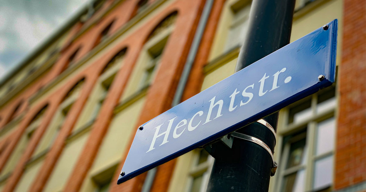 Das Hechtviertel in Dresden: Ein wirklich toller Hecht