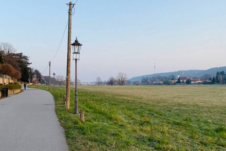 Joggen in Dresden auf dem Elberadweg