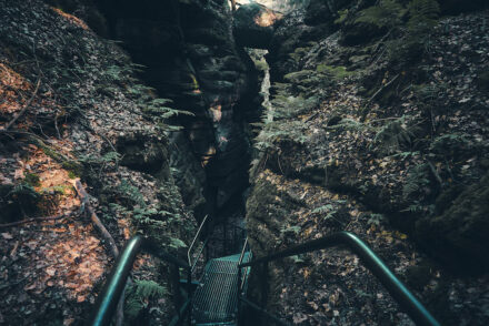 Teufelsgrund Heringshöhle Sächsische Schweiz Wanderung