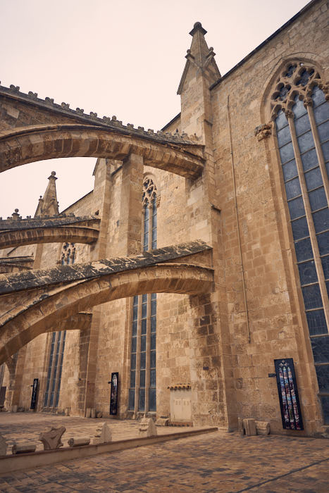Dachterrasse Kathedrale Palma