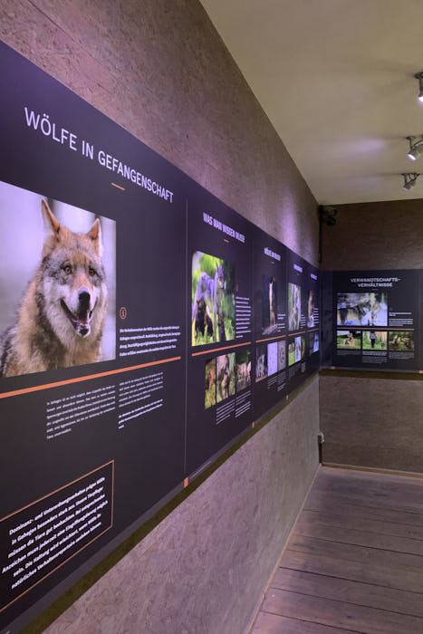 Ausstellung Wölfe Moritzburg