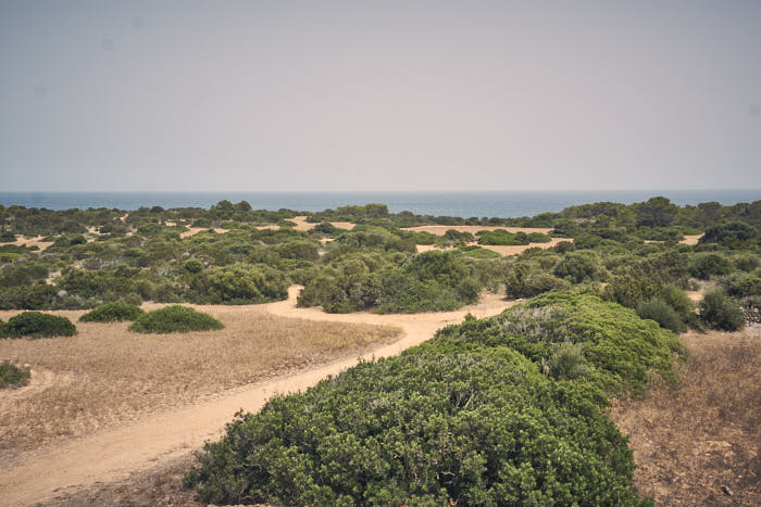 Naturschutzgebiet Punta de n'Amer Wegverlauf