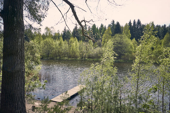 Triebischsee Tharandter Wald