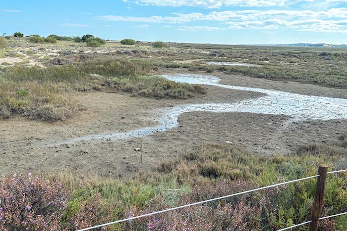 Naturpark Ria Formosa