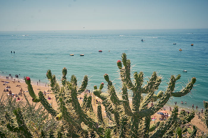 Blick aufs Meer in Albufeira