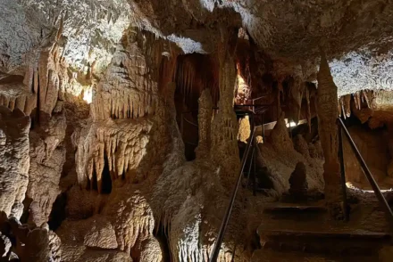 Baredine Höhle Istrien Kroatien